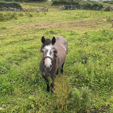 Caladh Na Leice *