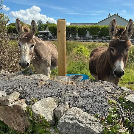 Caladh Na Leice